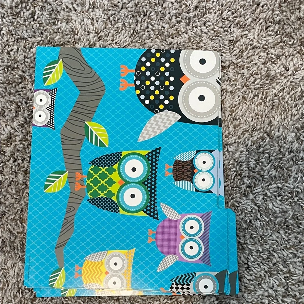 12 Colorful Owl Patterned Folders